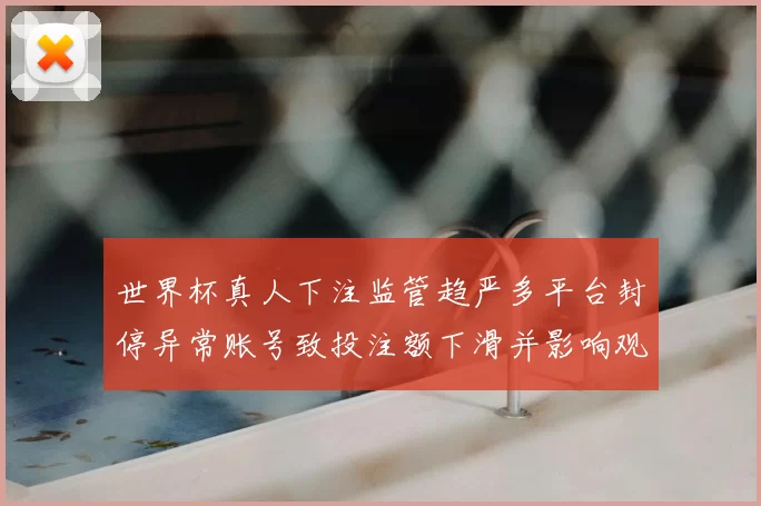 世界杯真人下注监管趋严多平台封停异常账号致投注额下滑并影响观赛热度